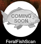 FeralFishScan