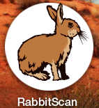 RabbitScan