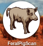 FeralPigScan