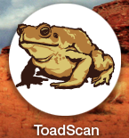 ToadScan