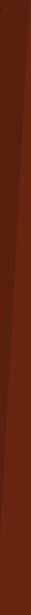 FoxScan