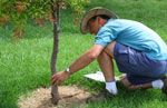 How to get involved? Image NSW DPI