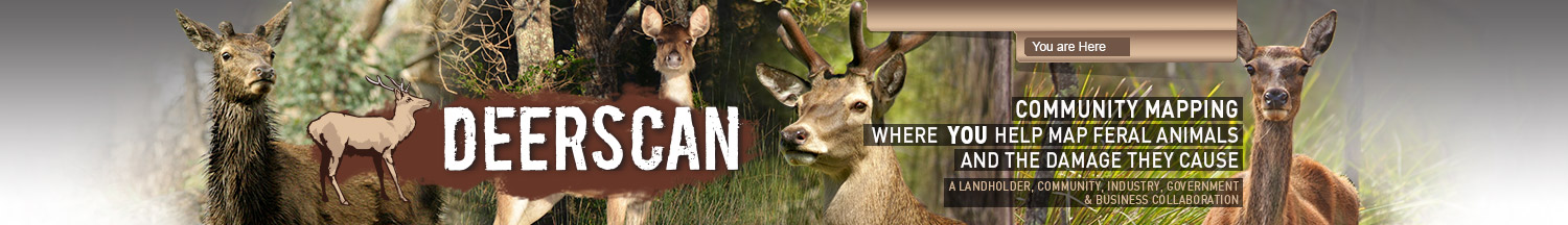 DeerScan