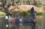 FeralFish news FeralFish news