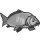 FeralFishScan