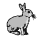 RabbitScan