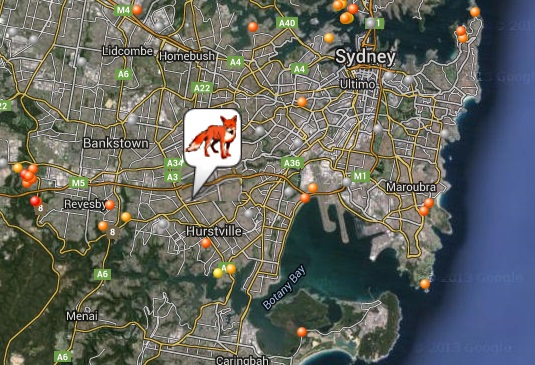Start mapping foxes now